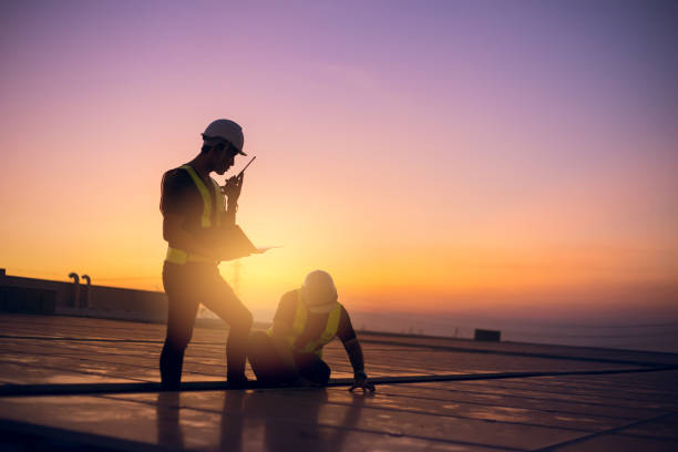 Professional Roofing Contractor in Palm River Clair Mel, FL