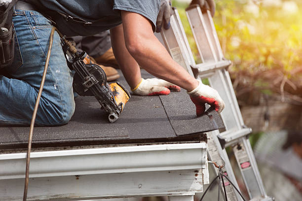 Best Local Roofing Companies  in Palm River Clair Mel, FL
